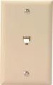 FLUSH MOUNT WALLPLATE IVORY