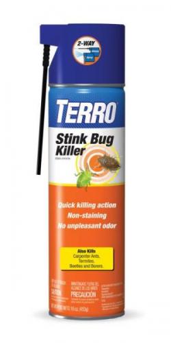 INSECT KILLER 15OZ