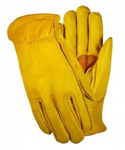 XL PALOMINO DRVR GLOVE