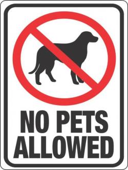 SIGN NO PETS ALLOWED