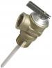 4" TEMPERATURE & PRESSURE VALVE