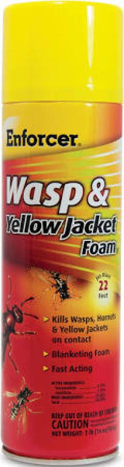 WASP & YELLOW JACKET FOAM 22-FT