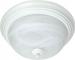 2LT ALABASTER CEILING FIXTURE WH