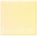 BLANK PLATE 2 GANG IVORY