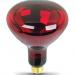 HEAT LAMP 250W RED