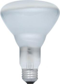 Directional Incandescent Lamp, 65 W, Medium - 3 Pack