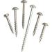 POCKET SCREW #6 3/4" 100PK