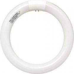 8" 22W WHITE CIRC FLOUR. BULB