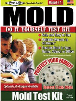 MOLD TEST KIT