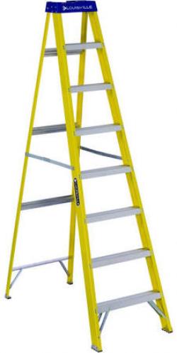 LADDER TYPE I F/G STEP 8'