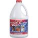 30 SECOND OUTDOOR CLEANER 1GAL