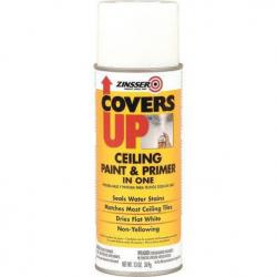 COVERS UP CEILING SPRAY