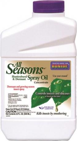 QT CONCENTRATE ALL SEASON OIL