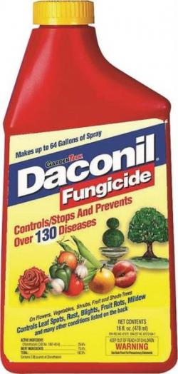 DACONIL FUNGICID CONCENTRATE