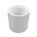 1" ADAPTOR FEMALE PVC