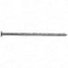 12D 3-1/4" PTL MAZE 1-LB NAIL