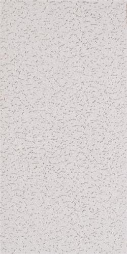 #562 5/8"x2'x4' CEILING TILE 8PC