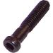 CHUCK RETAINING SCREW TORX