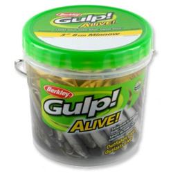 BERKLEY GULP ALIVE 3" MINNOW