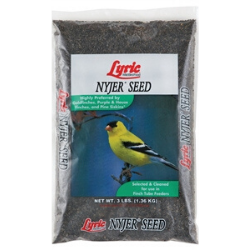 Nyjer Thistle Bird Food - 3 Lbs.