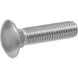 1/4" x 1" Stainless Steel Carriage Screw