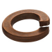 #6 Bronze Lock Washer