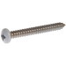 #8 x 1/2" SS White Phillips Pan Head Sheet Metal Screw