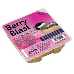 Wild Berry Suet Cake - 11.25 Oz.