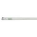 Fluorescent Lamp, 32 W, T8 Lamp, Medium