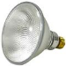 Directional, Sealed Beam Halogen Lamp, 60 W, PAR38