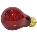 Incandescent Lamp, 25 W, A19 Lamp, Medium