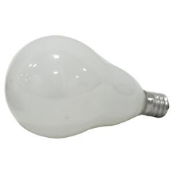 Incandescent Light Bulb, 40 W, A15 Lamp, Candelabra E12