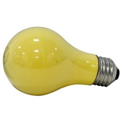 Incandescent Light Bulb, 60 W, A19 Lamp, Medium E26