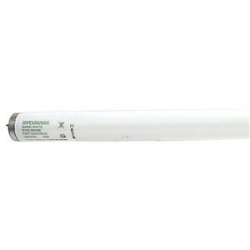 Fluorescent Lamp, 40 W, T12 Lamp, Medium