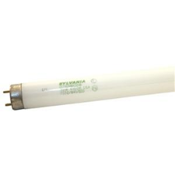 48" Fluorescent Lamp, 32 W, T8 Lamp, Medium G13