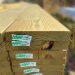 2 x 10 x 10 M12 Treated Framer Series Lumber, .15 CA