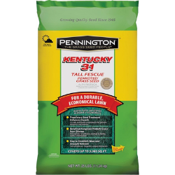 Kentucky 31 Tall Fescue Penkoted Grass Seed, 25 Lbs.