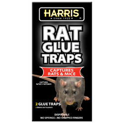 Pre-Baited Rat Glue Trap, 2 Pack