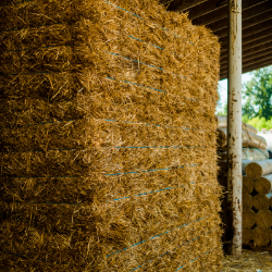 Straw - By the Bale