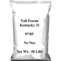 Kentucky 31 Tall Weed Seed, 50 Lbs.