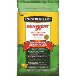 Kentucky 31 Tall Fescue Penkoted Grass Seed, 5 lb.