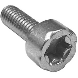 STIHL 9022 313 0660 IS-M4x12 Spline Screw