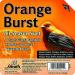 Orange Burst Suet Cake - 11.25 Oz.